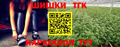 таблы Сланцы