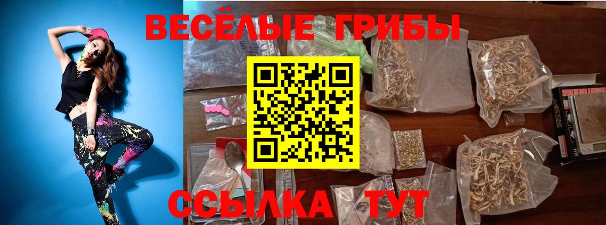 Галлюциногенные грибы GOLDEN TEACHER  Псилоцибиновые грибы GOLDEN TEACHER  Вход с VPN  Нерюнгри 