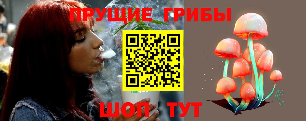 Псилоцибиновые грибы мухоморы Нерюнгри